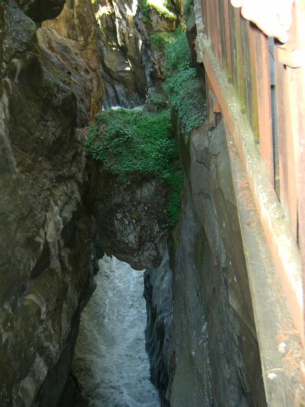Gornerschlucht 2006 050 